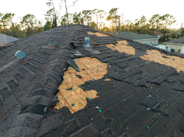 Best Roof Moss and Algae Removal  in Weldon, CA